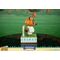 ANIMAL CROSSING NEW HORIZON - Tom Nook - Statue 22cm