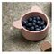 Nuuroo - Rosa Silicone Snack Box small 2-pack Koala - Woodrose /