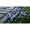 EA Sports NFL Madden 27 / PlayStation 5
