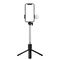 Selfie stick WR1YXS telescopic tripod 0.71m with round lamp - black