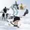 Qunature 037202 ski socks size 43-48 (L/XL) - purple-green