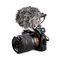 BOYA BY-MM1 Wired Directional Microphone - Black
