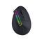 Wozinsky WMG-1164 Wireless Vertical Ergonomic Gaming Mouse 3600 DPI with RGB Backlight - Black