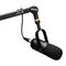BOYA BY-DM500 Cardioid XLR Dynamic Microphone for Podcasts - Black