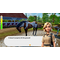 Sofia's Animal Clinic - Mission Wild Life Park / Nintendo Switch