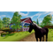 Sofia's Animal Clinic - Mission Wild Life Park / Nintendo Switch