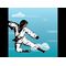 Micro Player Karate Champ Retro /