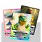 Italian Skifidol Italian Brainrot Universo Psichedelico assorted Envelope 7 Collectable cards
