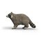 Schleich - Wild Life - Raccon (14937) /