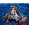 Kantai Collection -Kancolle- Plamatea Plastic Model Kit Kongo Kai-II C 16 cm