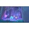 Slime Rancher 2 / PlayStation 5