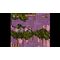 Aero The Acro-Bat Legacy + Sunsoft Lost Gems / Nintendo Switch