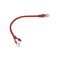 Lanberg PCU5-10CC-0025-R networking cable Red 0.25 m Cat5e U/UTP (UTP)