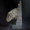 Jurassic World Bust Indominus Rex 27 cm