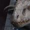 Jurassic World Bust Indominus Rex 27 cm