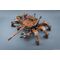 TANKHEAD - Type 33 Heikegani - Model Kit 1/48 10.3cm