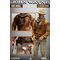 JOHN WAYNE - The Duke - Figure 1/6 Standard Version 31cm