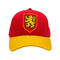 HARRY POTTER - Gryffindor - Cap