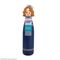 Stranger Things Water Bottle Scoops Ahoy Robin 500 ml