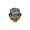 Iron Maiden Mask Eddie Aces High