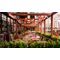 Infrared Heater NEO TOOLS 2000 W, IP55, Golden Halogen Lamp, Remote Control, 2 Heat Settings