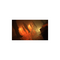 The Callisto Protocol / Xbox Series X - Xbox Series X - Xbox Series X - Games - Skybound Games - Action - Adventure - Standar...