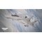 Ace Combat 7: Skies Unknown (Top Gun: Maverick Edition) / Xbox One - Xbox One - Xbox One - Games - Namco Bandai - Action - Ma...