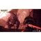 Wild Hearts / Xbox Series X | Techbox