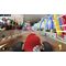 Mario Kart Live Home Circuit-  Luigi Edition / Nintendo Switch | Techbox