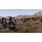 Mount & Blade II: BANNERLORD / PlayStation 5 - PS5 Games - Games - Techbox