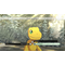 Digimon Survive / PlayStation 4 - PlayStation 4 - PlayStation 4 - Games - Namco Bandai - Platform - Fighting - Standard - Λεπ...