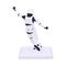 Stormtrooper Back of the Net 17cm / Fan Shop and Merchandise - Figurines - Collectibles - Techbox