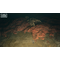 Saint Kotar / Nintendo Switch - Nintendo Switch Games - Games - Techbox