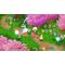 Secret of Mana / PlayStation 4 - PS4 Games - Games - Techbox