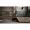 Tony Hawk's Pro Skater 1+2 - Xbox One Games - Games - Techbox