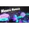 Squish / Nintendo Switch - Nintendo Switch Games - Games - Techbox