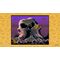 Disney Classic Games: Aladdin and The Lion King - Xbox One - Xbox One - Games - SEGA - Action - Adventure - Standard - Produc...