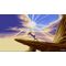 Disney Classic Games: Aladdin and The Lion King - Xbox One - Xbox One - Games - SEGA - Action - Adventure - Standard - Produc...