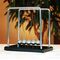 Giant Newton's Cradle - Wood & Steel Version (01626) / Gadgets