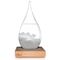 Storm Glass - Large Drop / Gadgets