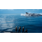 Final Fantasy XV (15) - Royal Edition / PlayStation 4 - PS4 Games - Games - Techbox