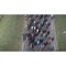 Tour de France 2023 / Xbox Series X - Series X Games - Games - Techbox