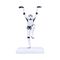 Stormtrooper Crane Kick / Fan Shop and Merchandise - Statues - Collectibles - Techbox
