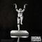 Stormtrooper Crane Kick / Fan Shop and Merchandise - Statues - Collectibles - Techbox