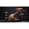 AEW: Fight Forever / Xbox Series X | Techbox