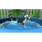 Little Friends: Puppy Island / Nintendo Switch - Nintendo Switch Games - Games - Techbox