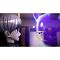Master Detective Archives: RAIN CODE / Nintendo Switch - Nintendo Switch Games - Games - Techbox
