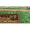 Story of Seasons: A Wonderful Life / Nintendo Switch - Nintendo Switch Games - Games - Techbox