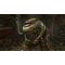 DOOM Eternal / Xbox One - Xbox One Games - Games - Techbox