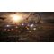 Immortals of Aveum / Xbox Series X - Series X Games - Games - Techbox